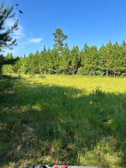 Hunting Land for sale in Conecuh County, Alabama