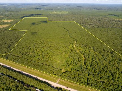 Undeveloped Land for sale in Allen Parish, Louisiana
