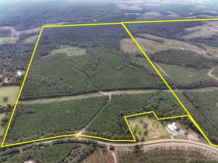 Undeveloped Land for sale in Polk County, Texas