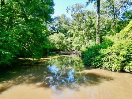 Property for sale in Pike County, Alabama