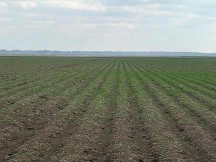 Property for sale in East Carroll Parish, Louisiana