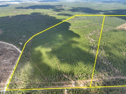 Hunting Land for sale in Walker County, Texas