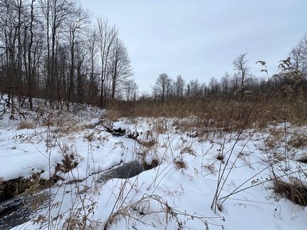 Undeveloped Land for sale in Crawford County, Pennsylvania