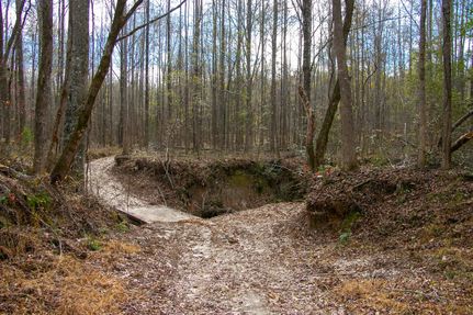 Hunting Land for sale in Carroll County, Mississippi