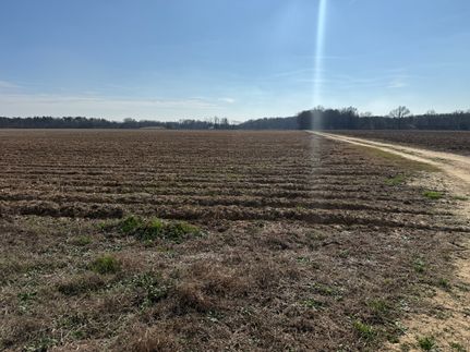 Property for sale in Richland Parish, Louisiana