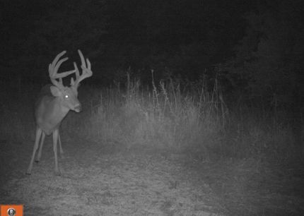 Property for sale in Cowley County, Kansas