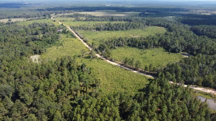 Timberland Property for sale in Mobile County, Alabama