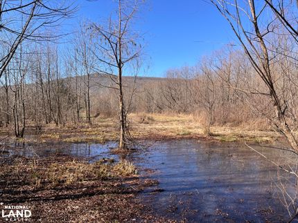 Riverfront Property for sale in Jackson County, Alabama