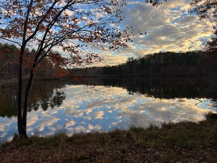 Hunting Land for sale in Shelby County, Alabama