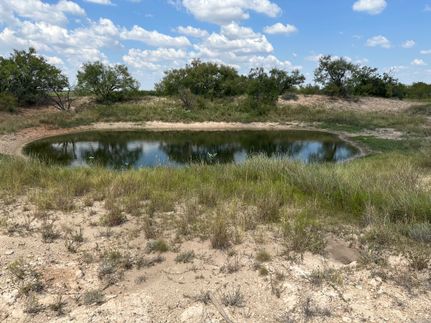Hunting Land for sale in Runnels County, Texas