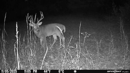 Property for sale in Jefferson County, Illinois