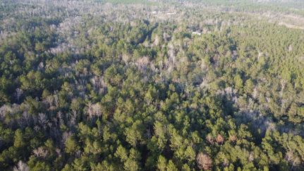 Farm Property for sale in Marion County, Mississippi