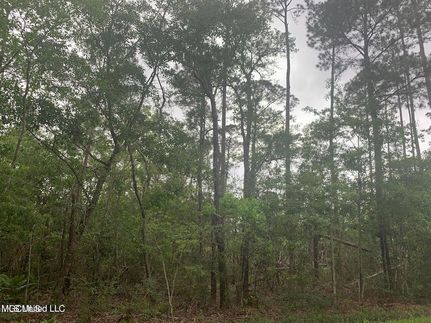Undeveloped Land for sale in Hancock County, Mississippi