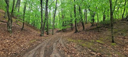 Undeveloped Land for sale in Oceana County, Michigan