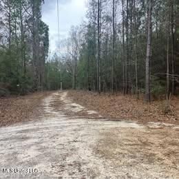 Undeveloped Land for sale in Pearl River County, Mississippi
