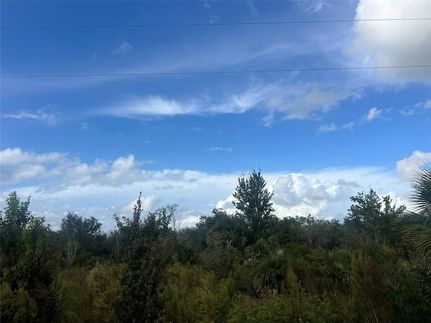 Undeveloped Land for sale in Okeechobee County, Florida