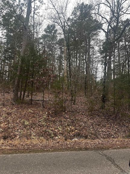 Undeveloped Land for sale in Saline County, Arkansas