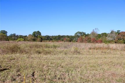 Undeveloped Land for sale in San Jacinto County, Texas