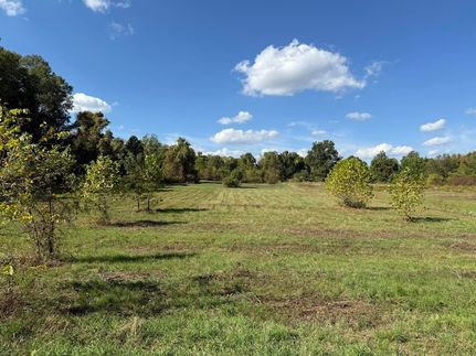 Undeveloped Land for sale in Van Buren County, Michigan