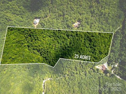 Undeveloped Land for sale in Transylvania County, North Carolina