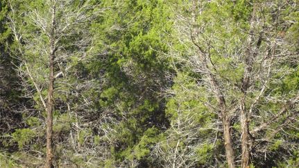 Undeveloped Land for sale in Travis County, Texas