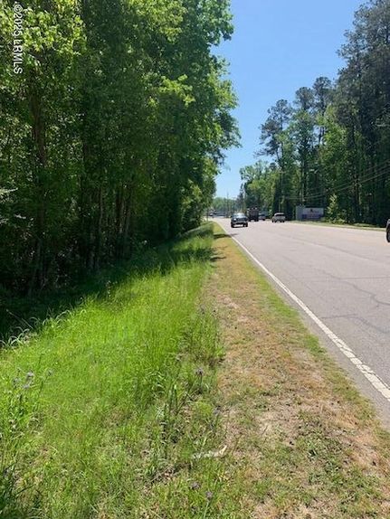 Undeveloped Land for sale in Hampton County, South Carolina