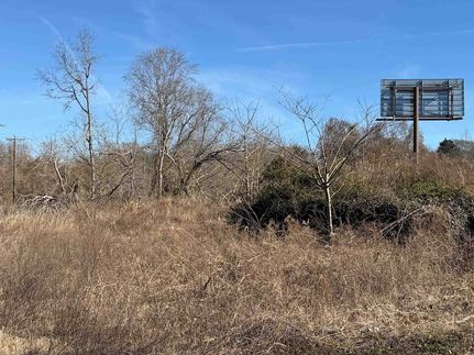 Undeveloped Land for sale in Spartanburg County, South Carolina