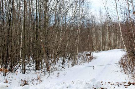 Property for sale in Clark County, Wisconsin