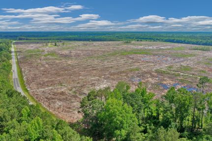 Undeveloped Land for sale in Clarendon County, South Carolina