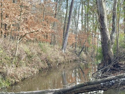 Recreational Property for sale in Tyler County, Texas