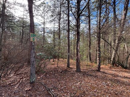 Undeveloped Land for sale in Polk County, Tennessee