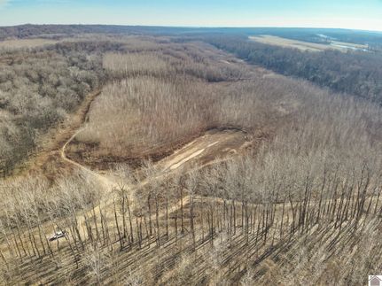 Undeveloped Land for sale in Carlisle County, Kentucky