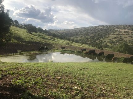 Property for sale in Grant County, New Mexico