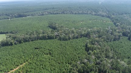 Recreational Property for sale in San Augustine County, Texas