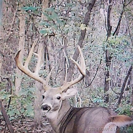 Property for sale in Camden County, Missouri