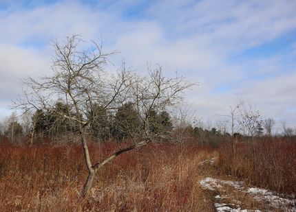 Ranch Property for sale in Montgomery County, New York