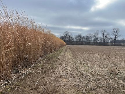 Property for sale in Champaign County, Ohio