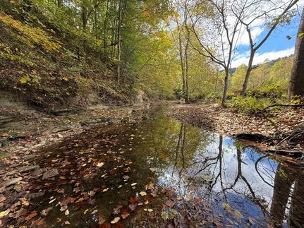 Timberland Property for sale in Breathitt County, Kentucky