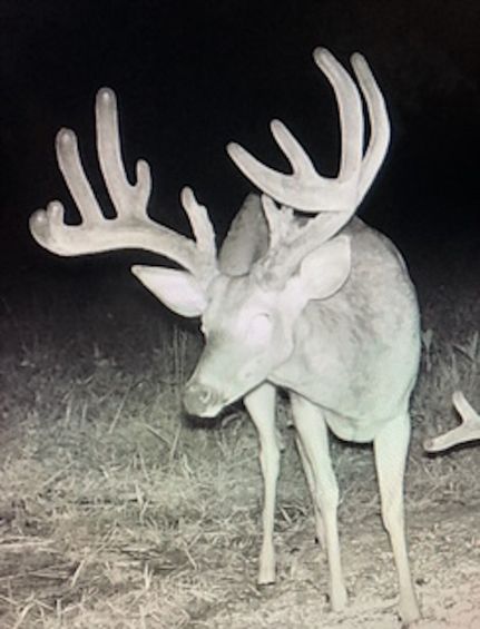 Ranch Property in Bourbon County, Kentucky