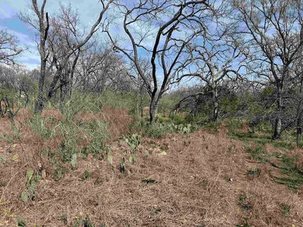 Undeveloped Land for sale in Llano County, Texas