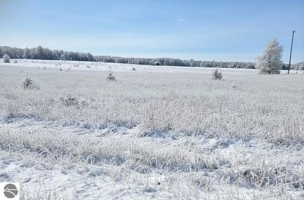 Undeveloped Land for sale in Grand Traverse County, Michigan