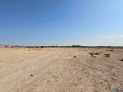 Undeveloped Land for sale in Eddy County, New Mexico