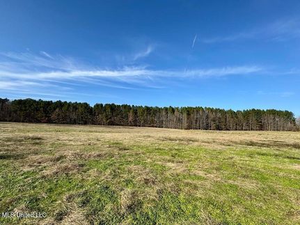 Undeveloped Land for sale in Hinds County, Mississippi