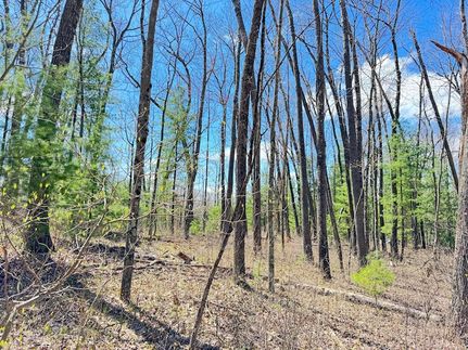 Undeveloped Land for sale in Newaygo County, Michigan