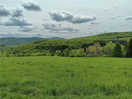 Undeveloped Land for sale in Delaware County, New York