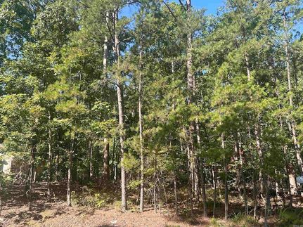 Undeveloped Land for sale in Saline County, Arkansas
