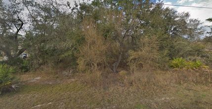 Undeveloped Land for sale in Hernando County, Florida