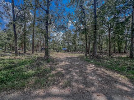 Undeveloped Land for sale in Montgomery County, Texas