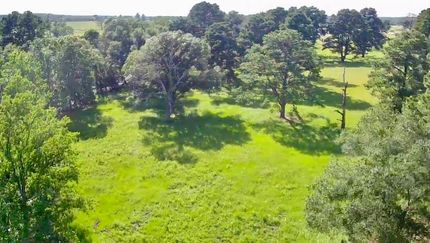 Undeveloped Land for sale in Houston County, Texas