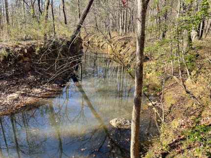 Property for sale in Lincoln County, Georgia